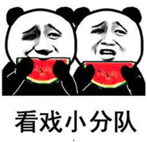 请你吃瓜表情包下载免费,轻松逗乐你的朋友圈！  第2张